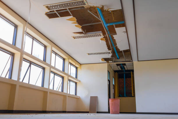  Menahga, MN Water damage restoration Pros
