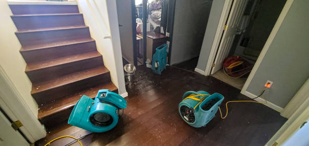 Best Water damage restoration near me  in Menahga, MN