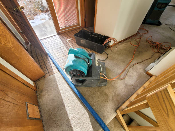 Best Flood damage cleanup  in Menahga, MN