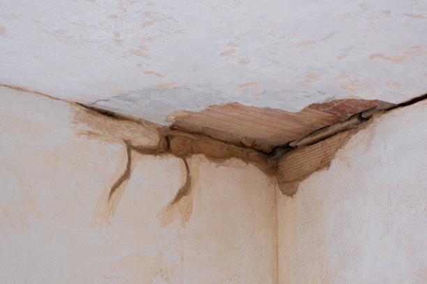 Menahga, MN Water damage restoration Company