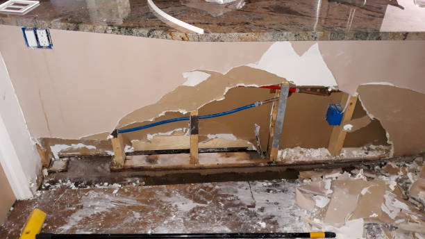 Water damage restoration mold remediation in Menahga, MN