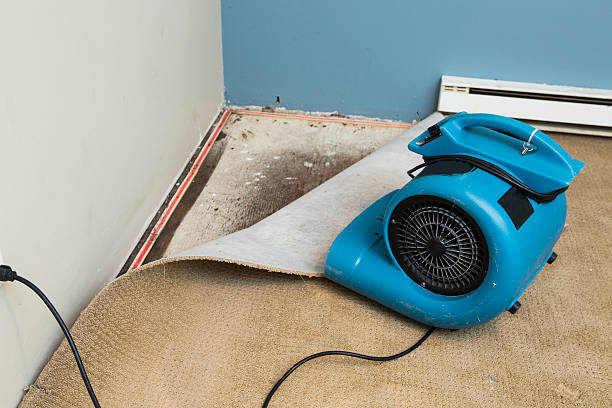 Best Emergency water damage restoration  in Menahga, MN